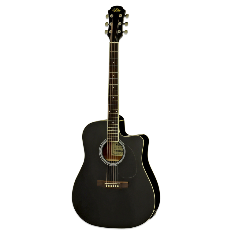 Aria Semi Acoustic Guitar AWN 15CE4BK Seasons.lk